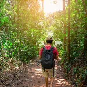 Eco tourism, Sustainable tourism, Green tourism and Ecosystem and preserve nature concept, Man in forest and tree with sunlight, View forest tree, Tree and road in forest, Travel nature conservation
